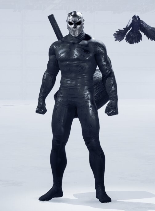 MADMAX's Raven