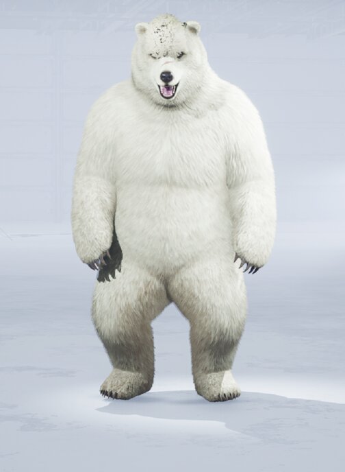 Dinamu's Kuma